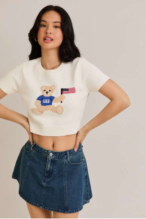 Teddy Bear USA Flag Graphic Short Sleeve Sweater